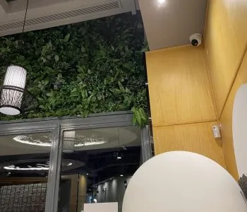 Instalación real de Sertic Networks — proyecto 19