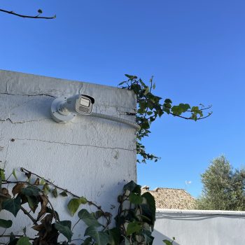 IMG_7176