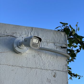 IMG_7178